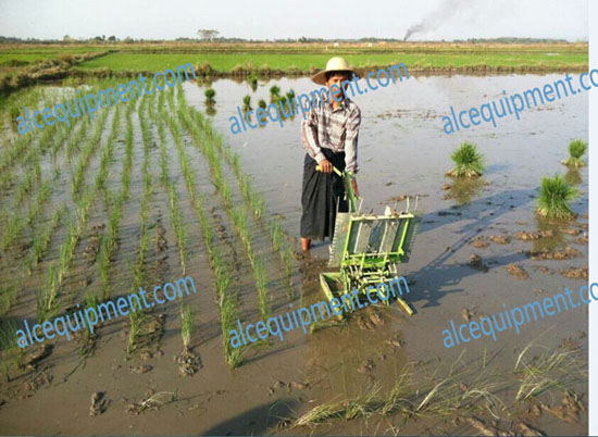 2Row manual rice transplanter paddy transplanter rice paddy sedling machine