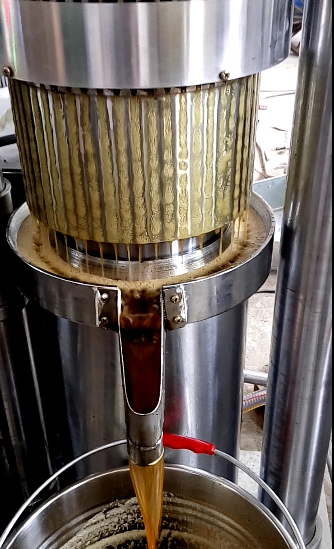 Hydraulic Automatic Oil Presser for Cocoa Beans Pressing