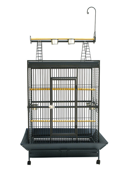 Parrot Cage DLBRB 2006