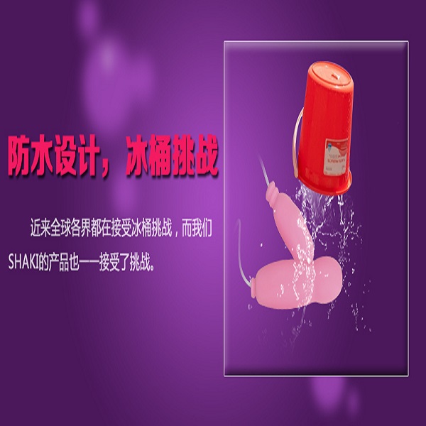 Multi Frequency Waterproof Quiet Double Jump Eggs Female Toys Adult Appeal Products