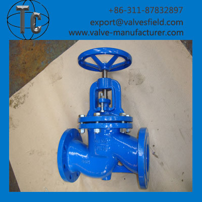 Globe Valve