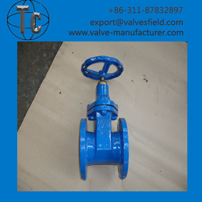 Resilient Seated Gate Valve