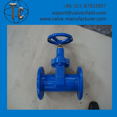 Resilient Seated Gate Valve