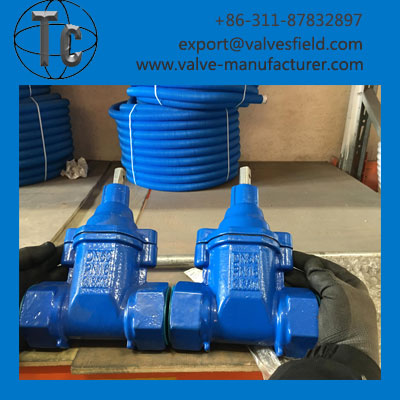 Threaded Gate Valve
