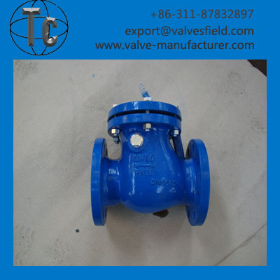 Swing Check Valve