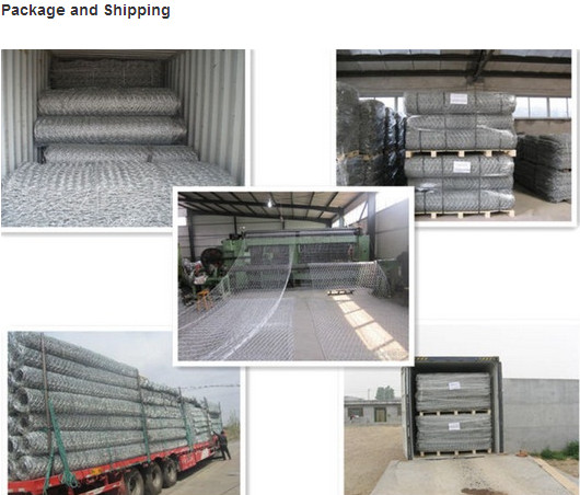 2X1X1m Hexagonal PVC Coated Gabion Gabions Box