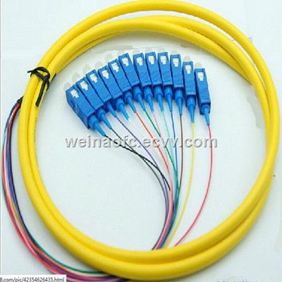 Fiber Optic Pigtail SC SM G652D Singlemode 12 cores fibers