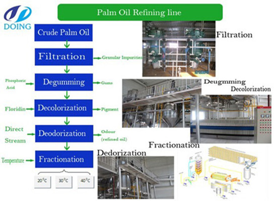 High quality palm oil refinery and fractionation plant