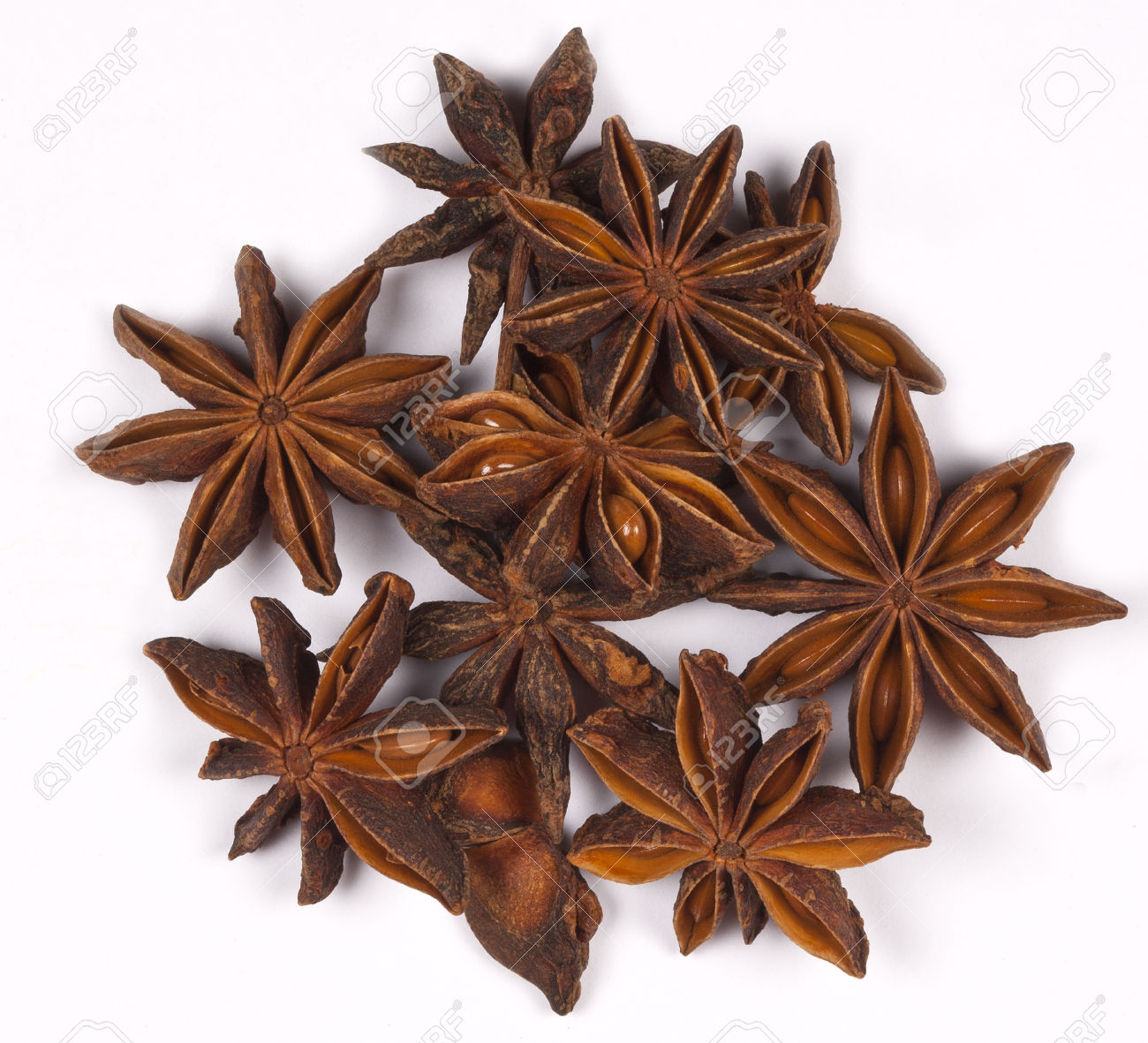 the star aniseed