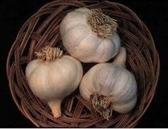 The white dried garlic