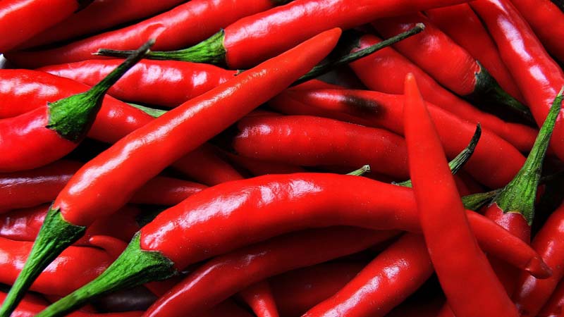 The red hot chilli