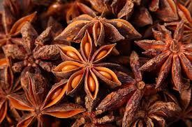The star aniseed