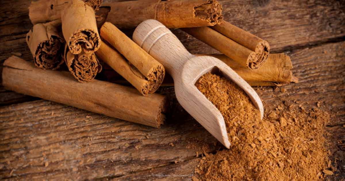 the Cinnamon stick