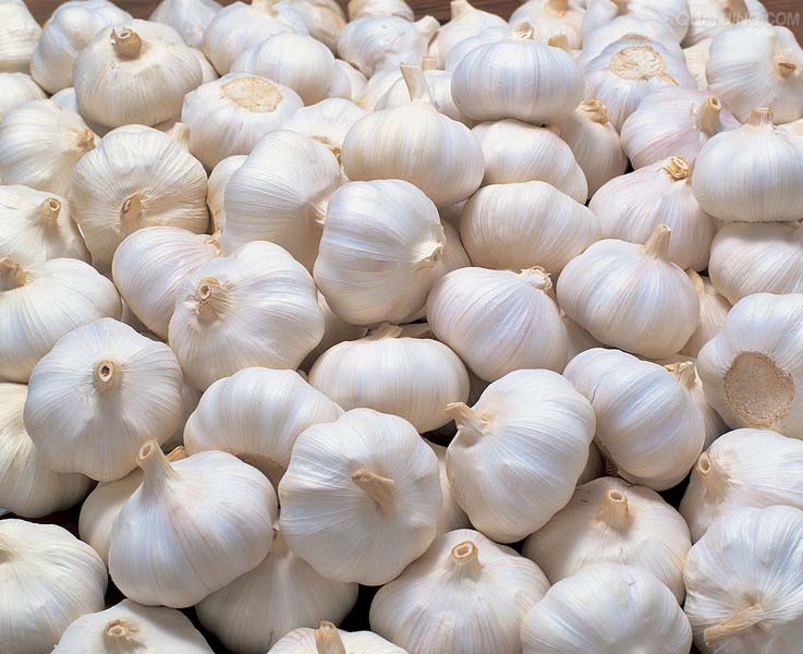 The white dried garlic