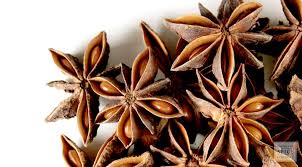 The star aniseed