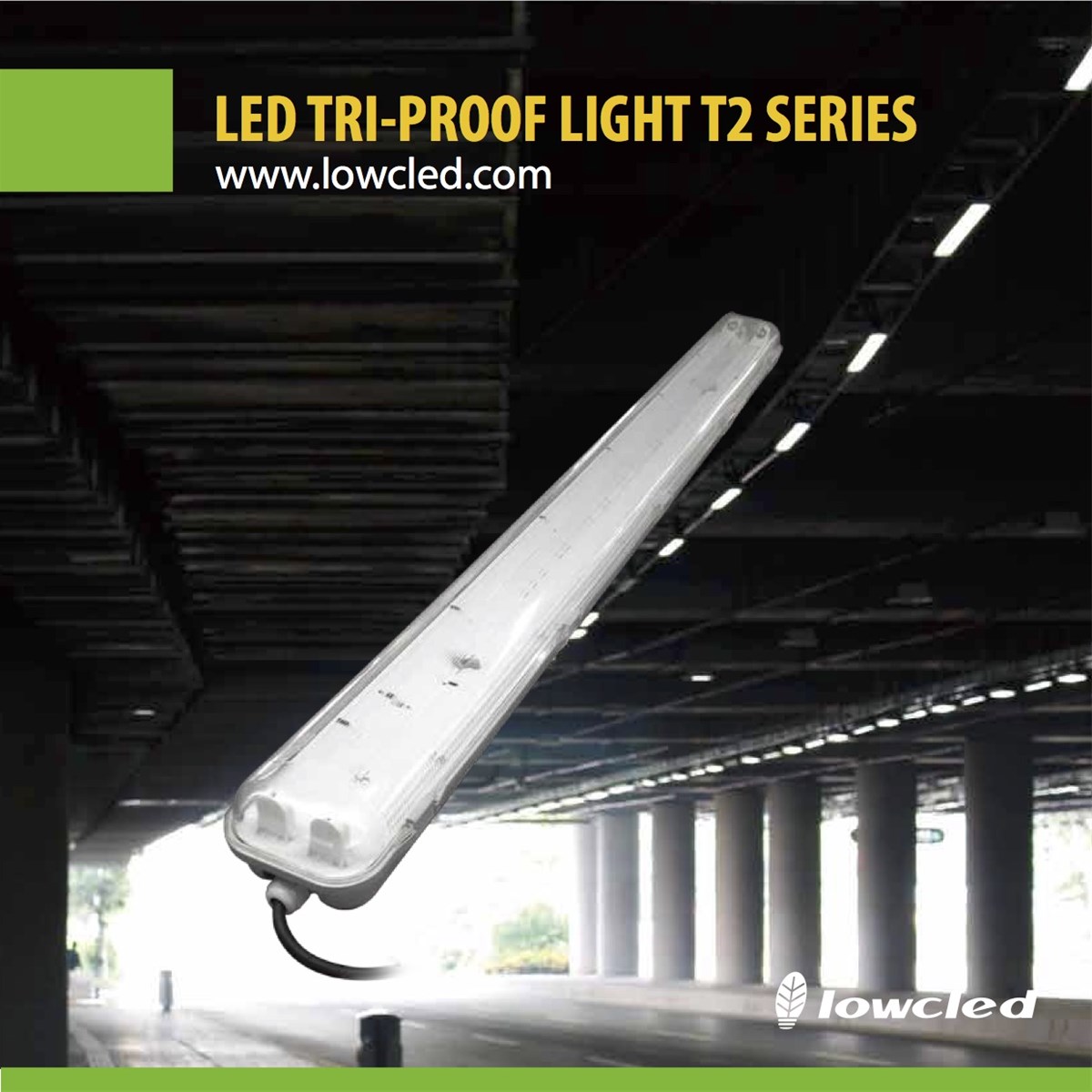 10W 18W 20W 22W 44W T8 T10 Led Triproof Light manufacturer