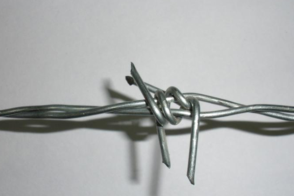 Barbed Wire 1214