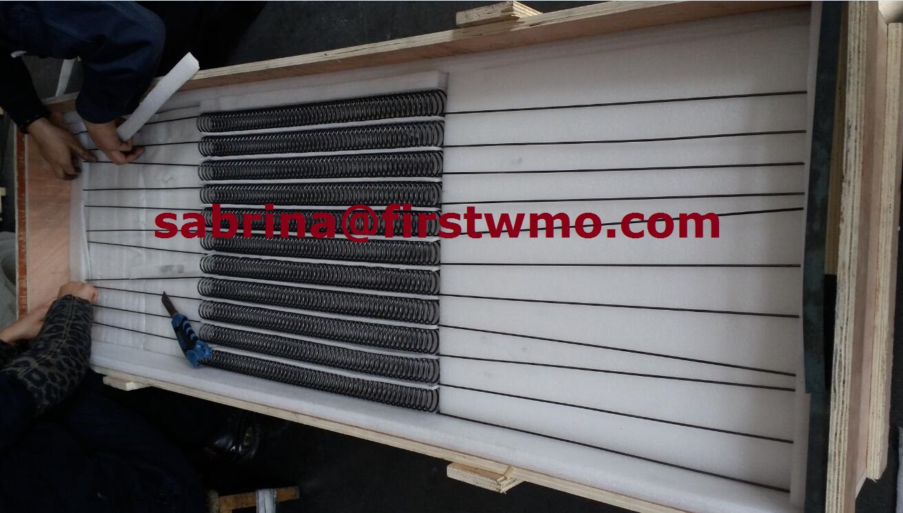Molybdenum heater molybdenum heating elements