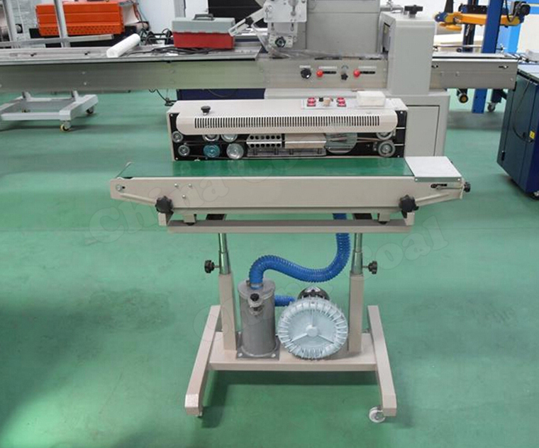 High Quality DBF900F Nitrogen Flush Continuous Band Sealer