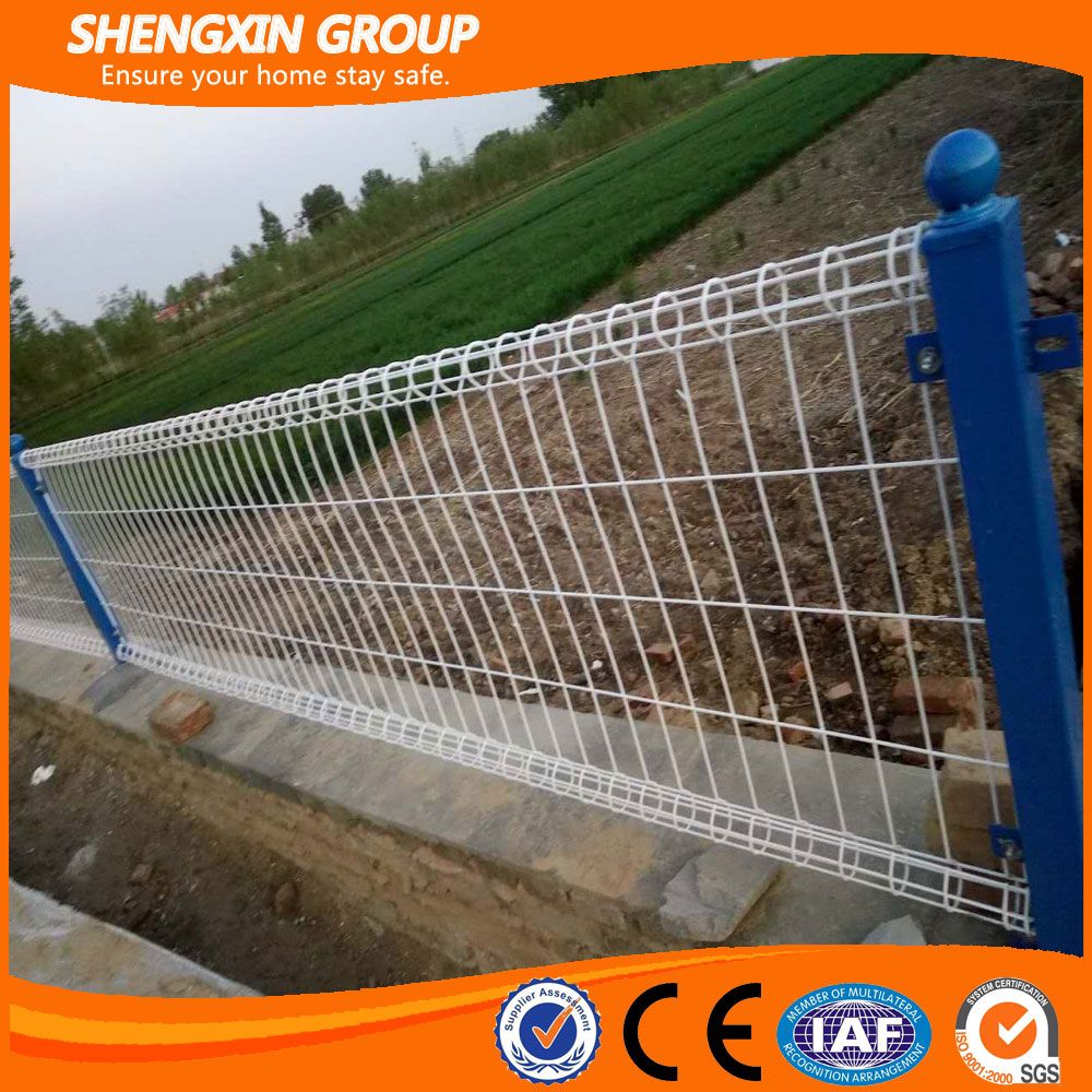Galvanized or Powder Coated Decorative Double Circle Garden Fence