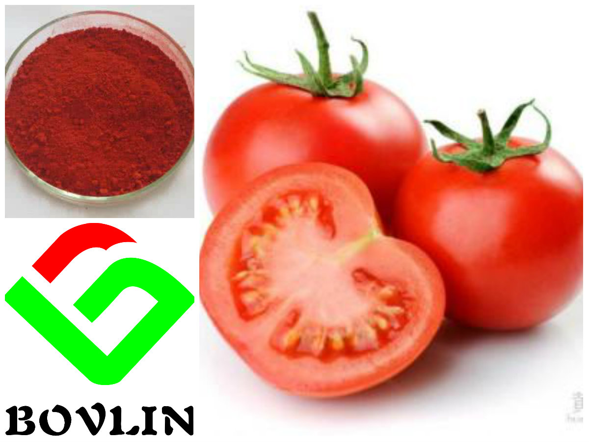 Natural Tomato Extract Lycopene