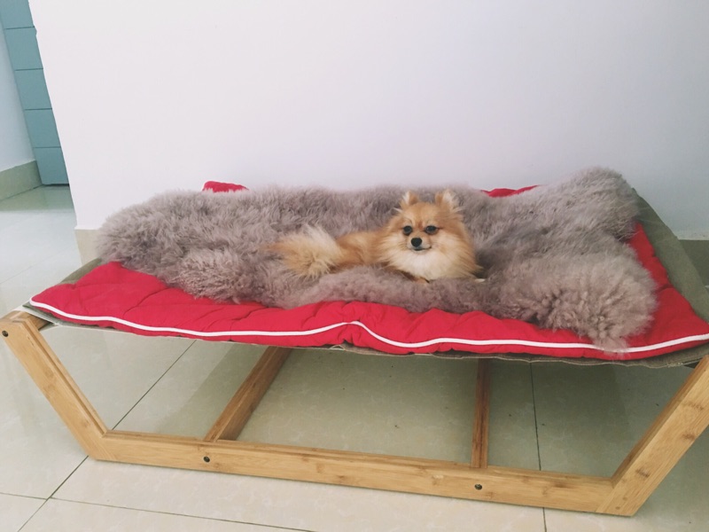 bamboo hammock large dog beds