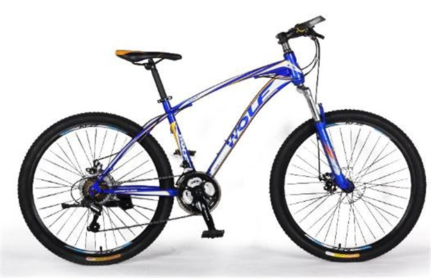 High quality Mountain Bicycle Alloy Road Bike made in china