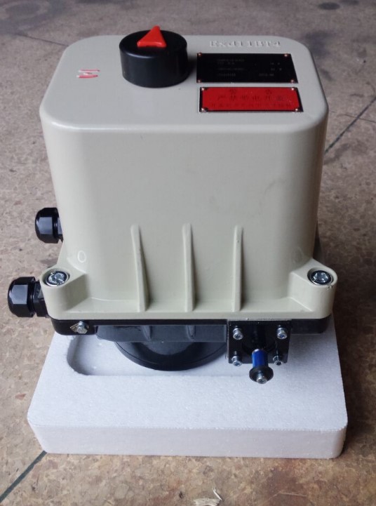 ELECTRIC ACTUATOR