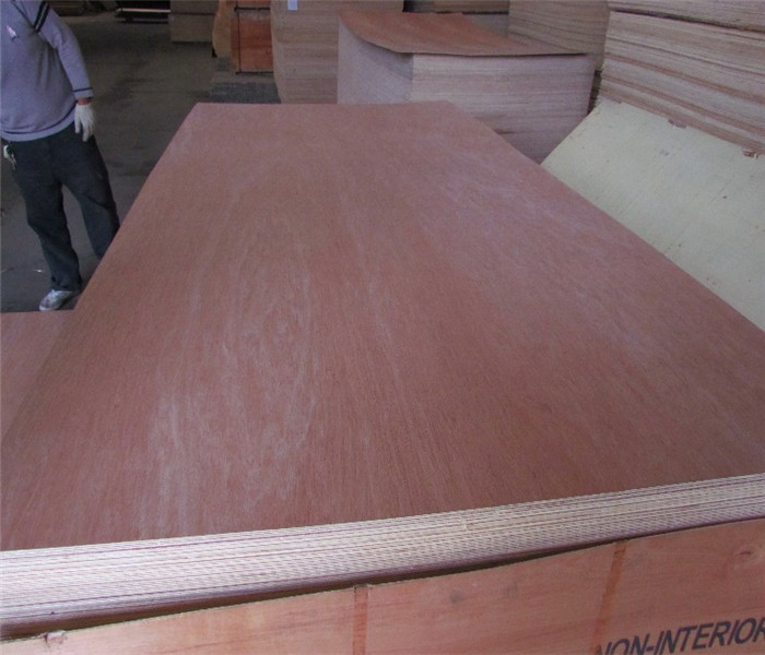 HardwoodEucalyptus Core Good Quality Plywood for Furniture