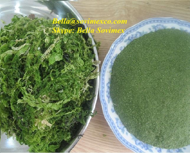 dried seaweed ulva lactuca