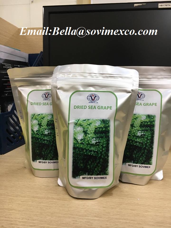 fresh seagrape seaweed with high quality