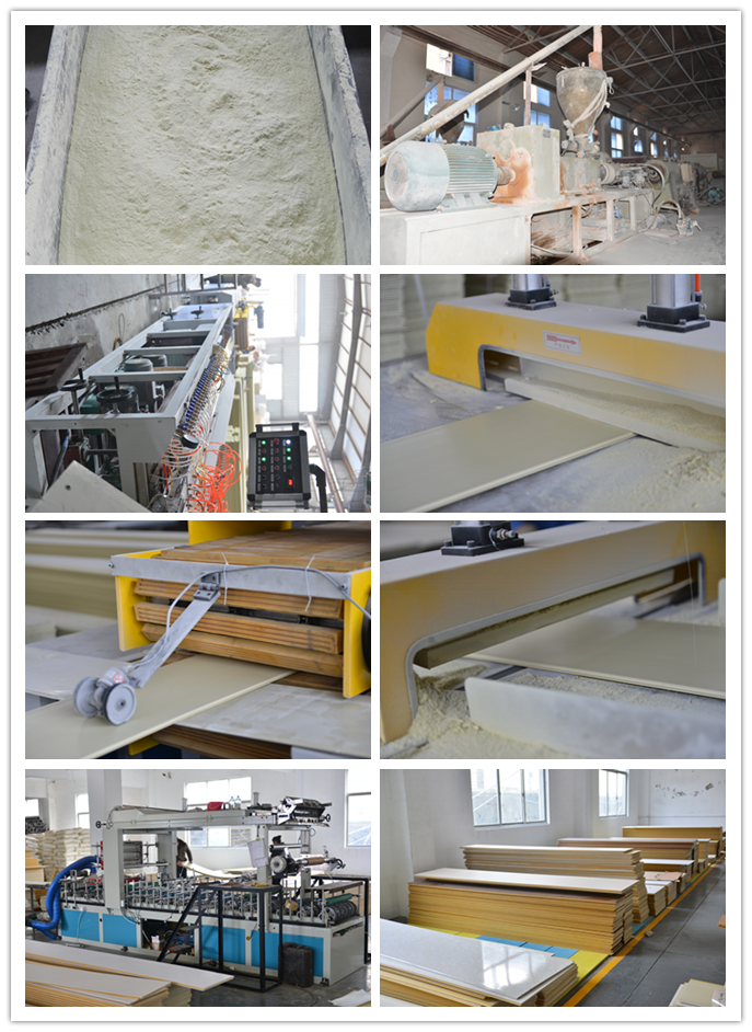 Fireproof and Waterproof WPC wallceiling panel for kitchen decoration