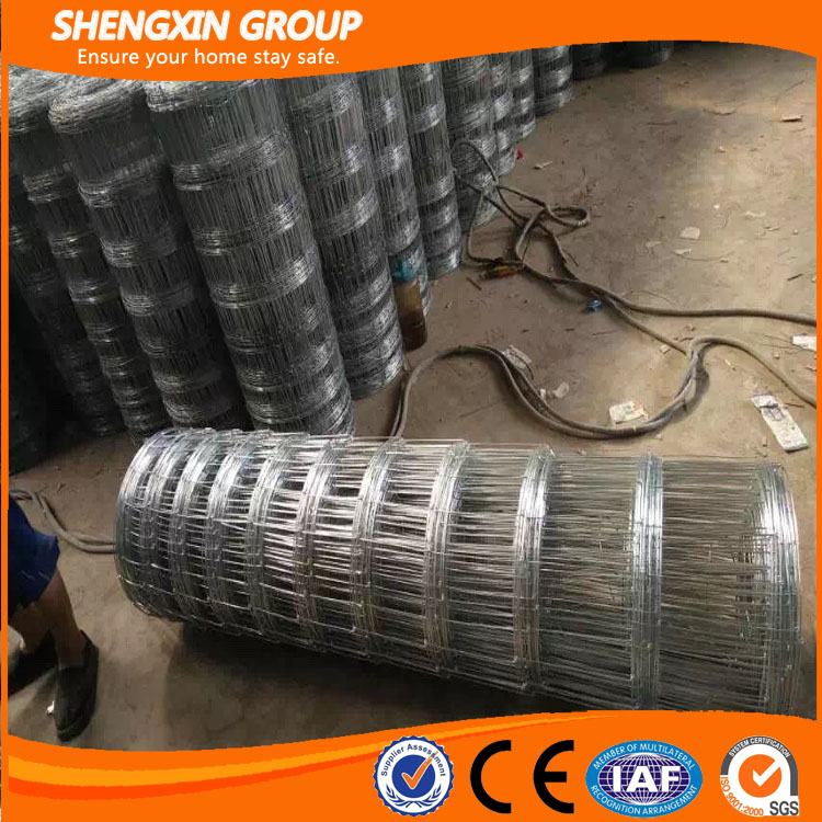 Best price hot galvanized cattle fence factory price