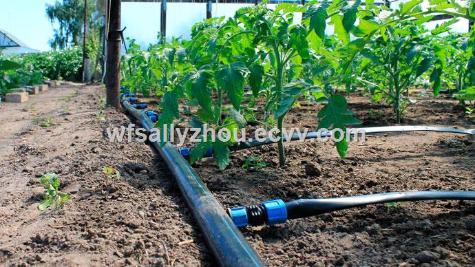 Dual Use Round Drip Irrigation, Using Pvc Pipe For Garden Irrigation