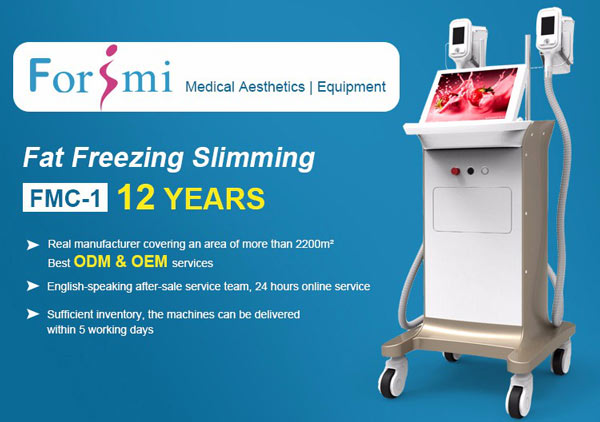 CE approved Europe slimming machine cooling freeze cryo freezefats system cryolipolysis device in beijing