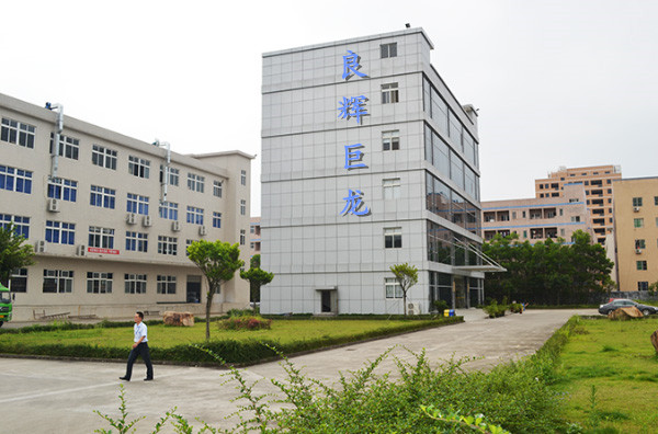 Shenzhen Lhjloong Technology Co., Ltd.