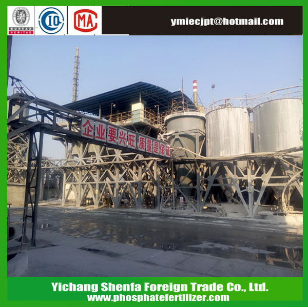 Dicalcium phosphate DCP Feed Additives