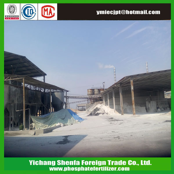 Dicalcium phosphate DCP Feed Additives