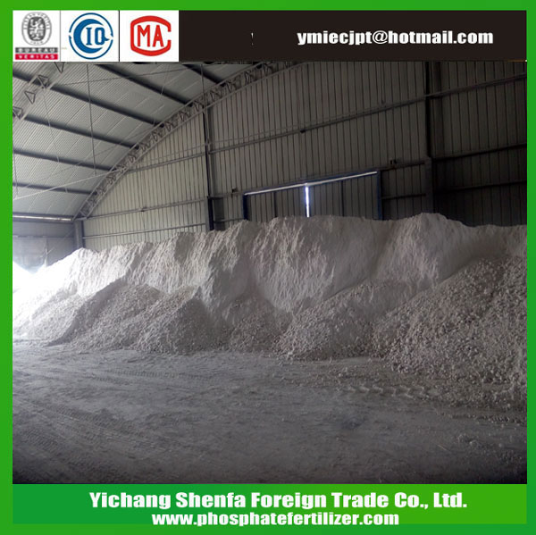 Dicalcium phosphate DCP Feed Additives
