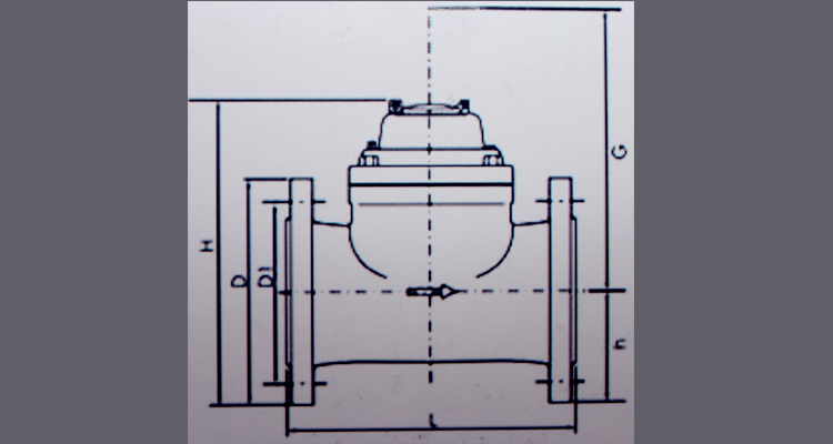 multi jet woltman detachable water meter