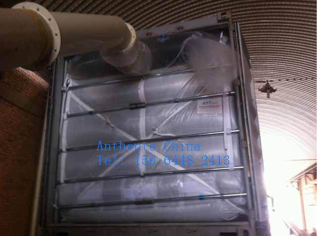 PE film dry bulk container liner bag