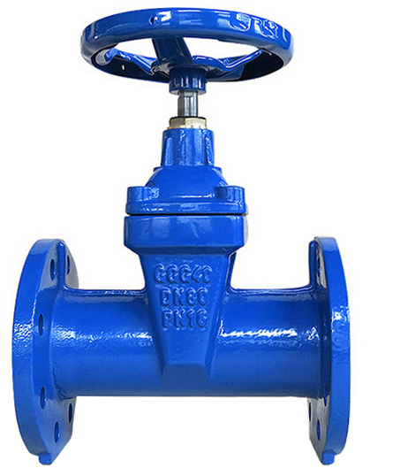 F5 NonRising Stem Resilinet Seated Gate Valve