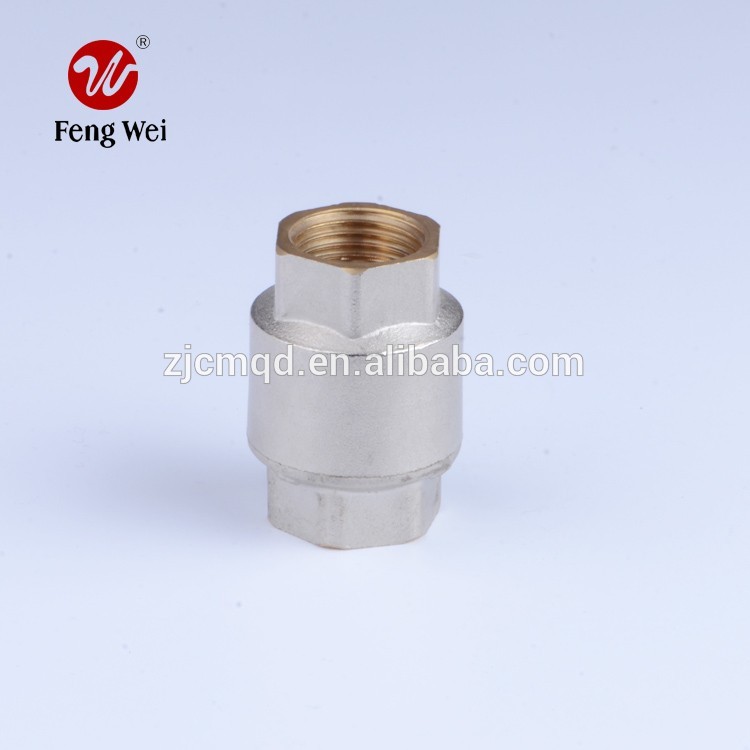 vertical check valve