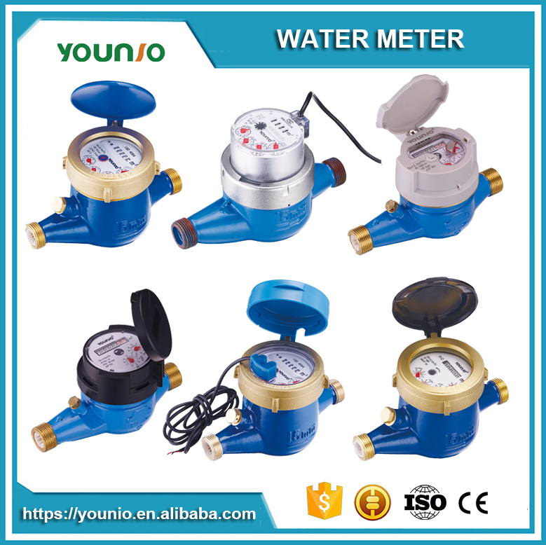 Younio Pulse Output Reed Switch Remote Reading Water Meter