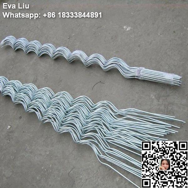 Plant climbing stand tomatoes stents wire