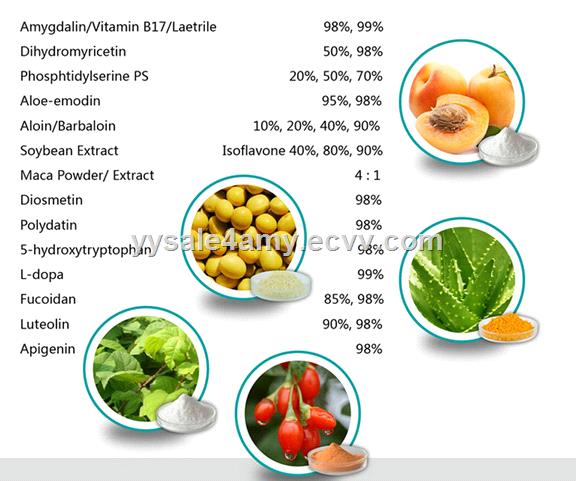 Yongyuan Bio Acertruncatum kernel Extract Nervonic Acid 90GC CAS No 506376
