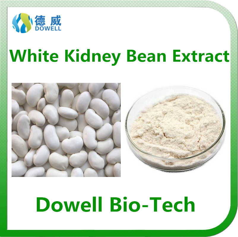 100 Pure Natural White Kidney Bean Extract Powder phaseolin 1 2 For losing weight