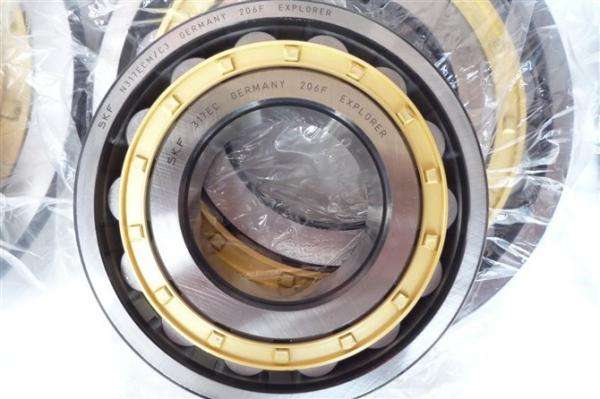 Full Complement Cylindrical Roller Bearing SL18 3018