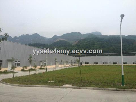 Yongyuan supply apple tree extract Phlorizin 98HPLC CAS No 60811