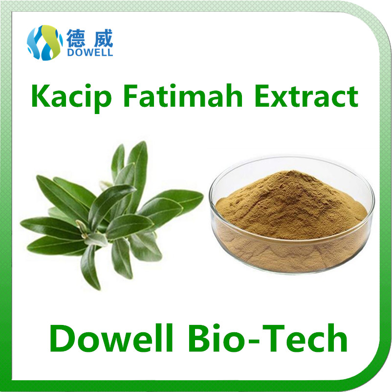 Factory supply natural top quality female Kacip Fatimah Extract 51101